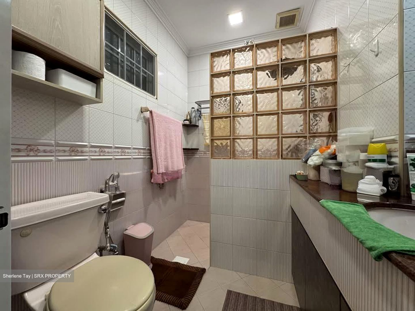 Seletar Hills Estate (D28), Semi-Detached #580569651